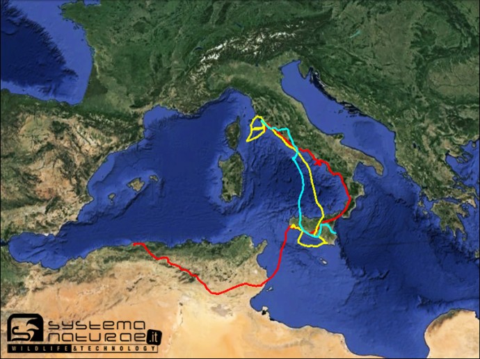 Monitoraggio GPS